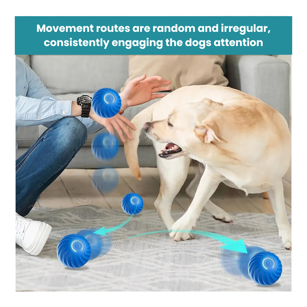 MrBarks Electric Dog Ball - 70% OFF