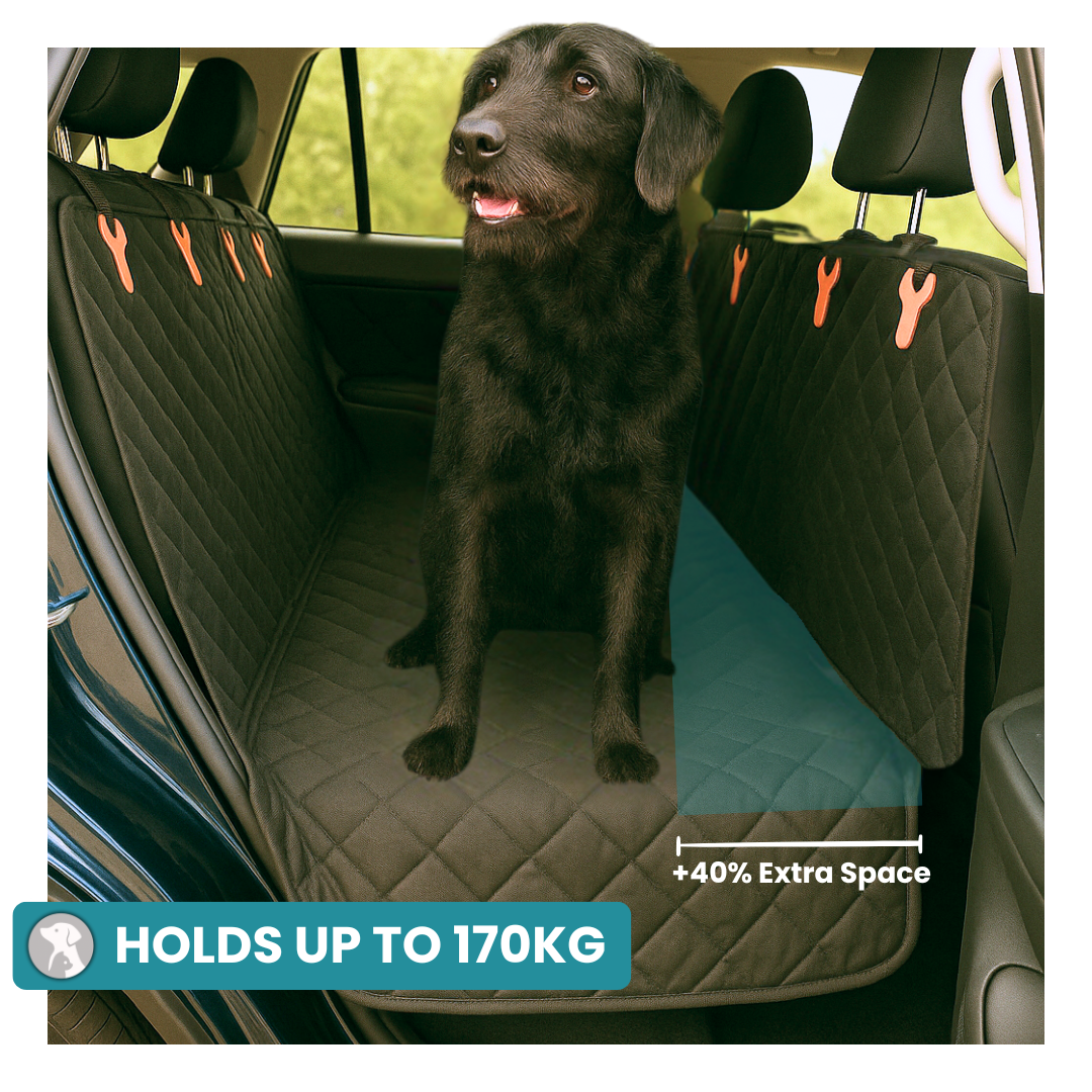 MrBarks Dog Seat Cover - 60% OFF