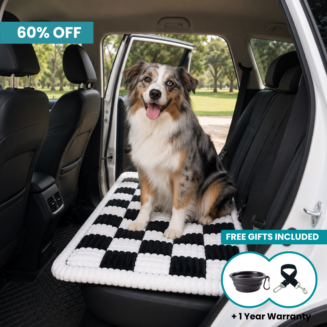 MrBarks Travel Cushion - 60% OFF