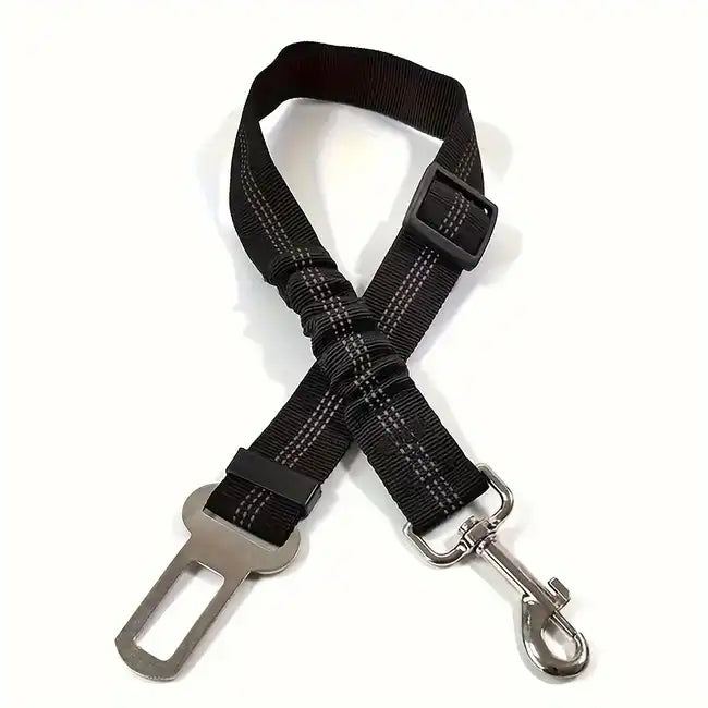 Bungee dog buckle