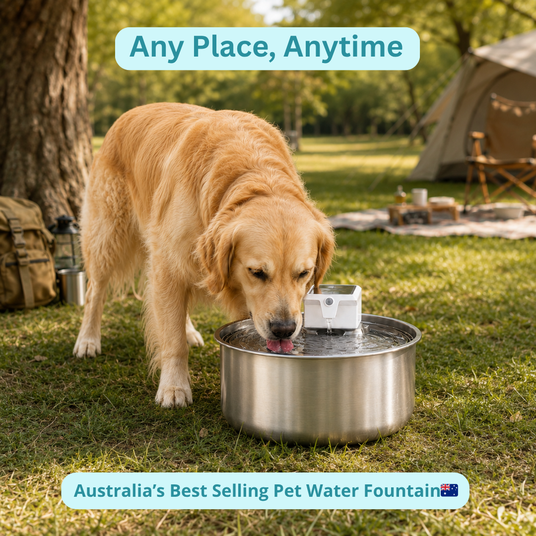 MrBarks Water Fountain - 60% OFF