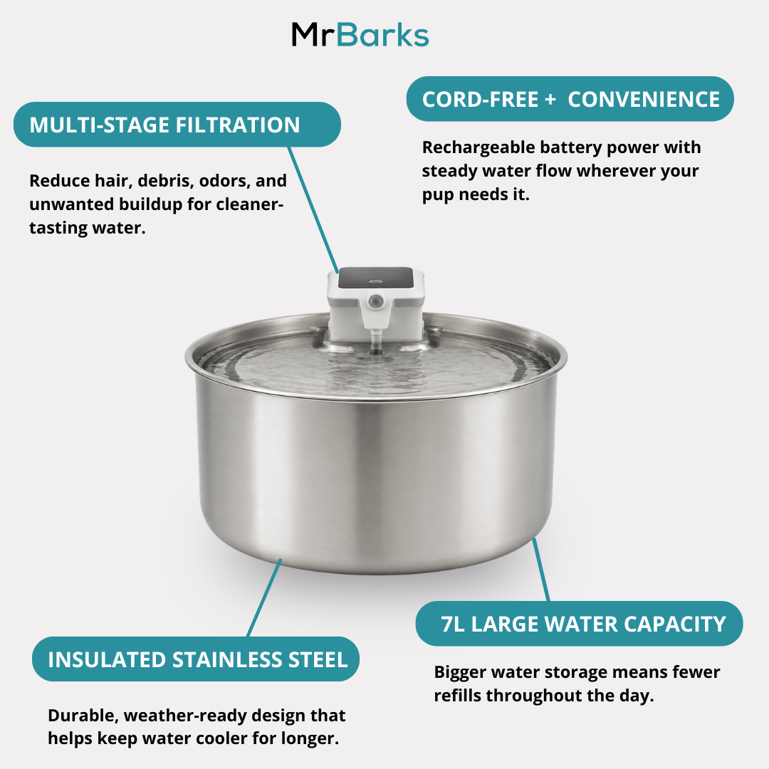 MrBarks Water Fountain - 60% OFF