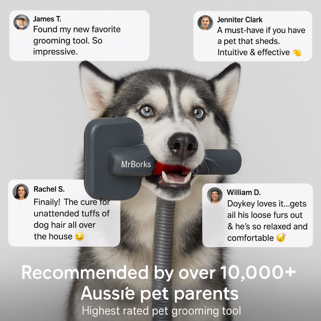 MrBarks 3-In-1 FurVac - 50% OFF
