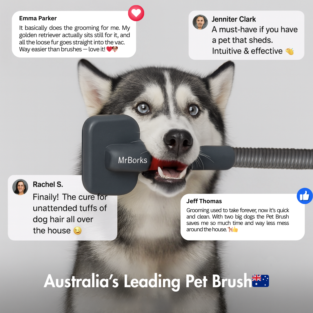 MrBarks 3-In-1 Pet Brush - 50% OFF